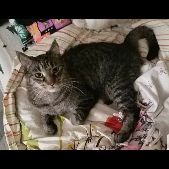 Meet your Posher, Deborah - Picture 5 of 5